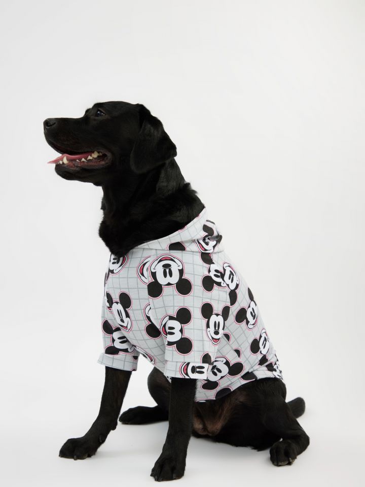 טופ לחיית מחמד מיקי מאוס