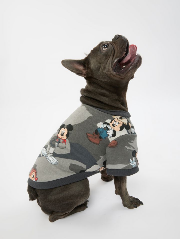 טופ לחיית מחמד מיקי מאוס