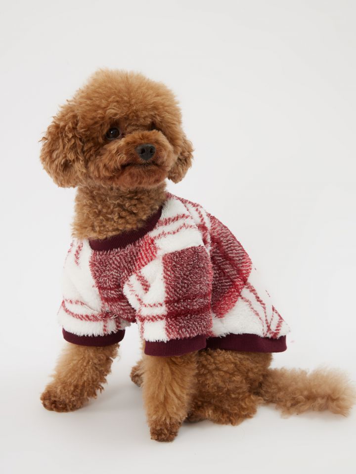 טופ לחיית מחמד משבצות