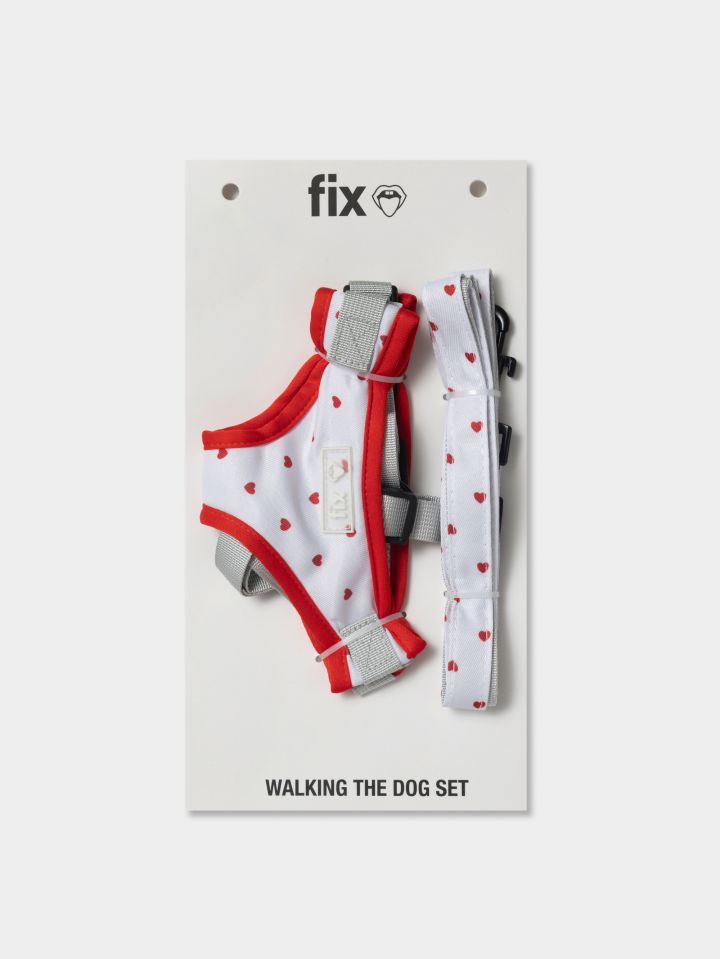 רתמה ורצועה לחיית מחמד