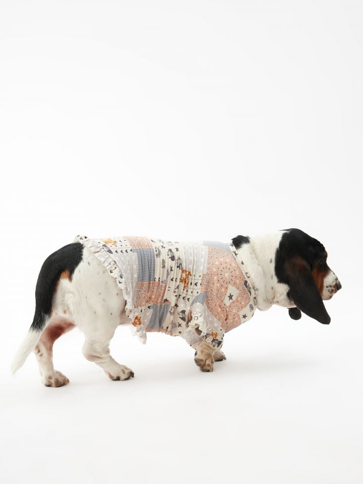 טופ לחיית מחמד בנדנה