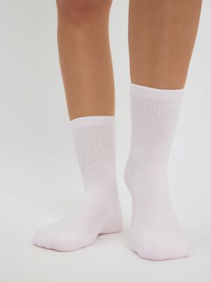 גרבי רבע ריב פו הדב