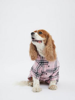 טופ לחיית מחמד פלנל