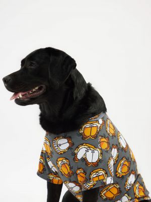 טופ לחיית מחמד גארפילד