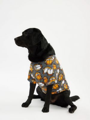 טופ לחיית מחמד גארפילד