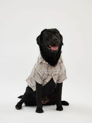 טופ לחיית מחמד פלנל