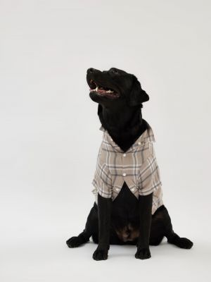 טופ לחיית מחמד פלנל