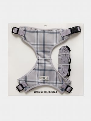 רתמה ורצועה לכלב