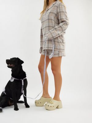 רתמה ורצועה לכלב