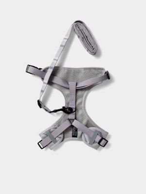 רתמה ורצועה לכלב