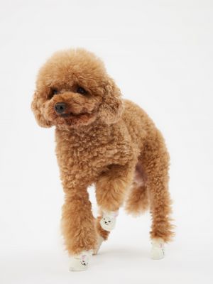 גרבי פלאפי דובי/ארנב לחיית מחמד