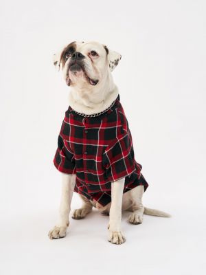 טופ לחיית מחמד פלנל