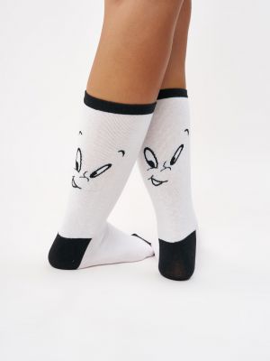 גרבי רבע קספר