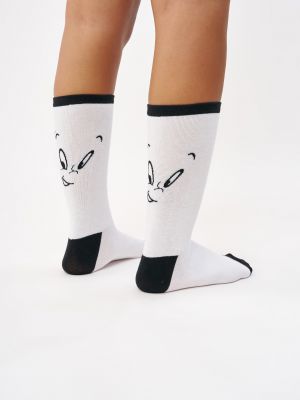 גרבי רבע קספר