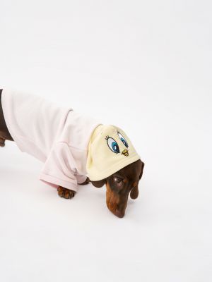 טופ לחיית מחמד טוויטי