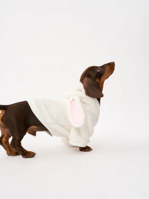 טופ לחיית מחמד פלאפי