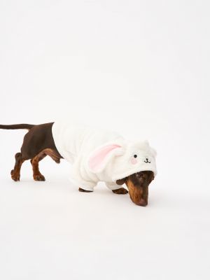 טופ לחיית מחמד פלאפי