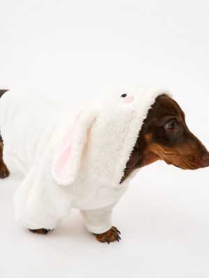 טופ לחיית מחמד פלאפי