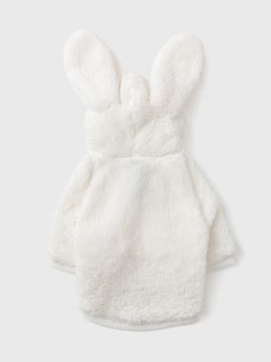 טופ לחיית מחמד פלאפי