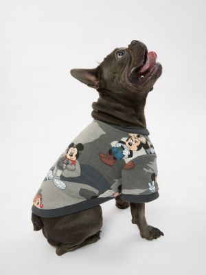 טופ לחיית מחמד מיקי מאוס