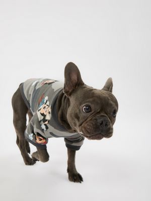 טופ לחיית מחמד מיקי מאוס