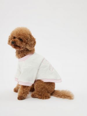 טופ לחיית מחמד פוטר