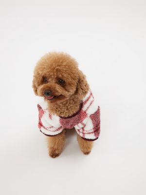 טופ לחיית מחמד משבצות