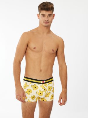 בוקסר פו הדב