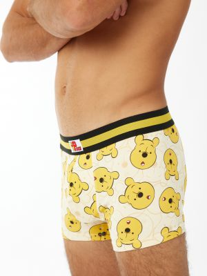 בוקסר פו הדב