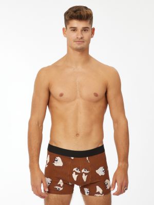 תחתוני בוקסר טאז