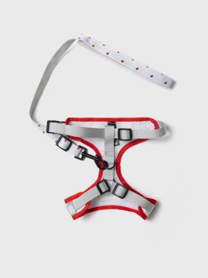 רתמה ורצועה לחיית מחמד