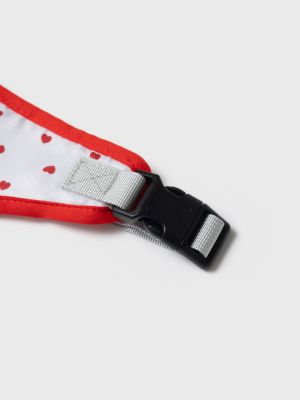 רתמה ורצועה לחיית מחמד