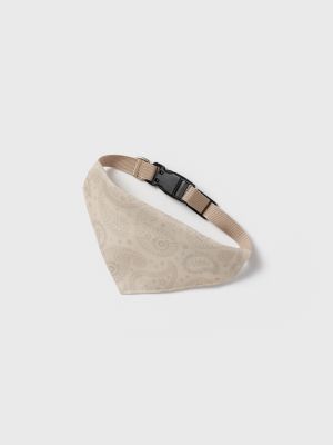 בנדנה לחיית מחמד