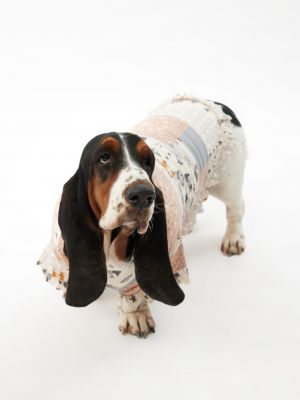 טופ לחיית מחמד בנדנה