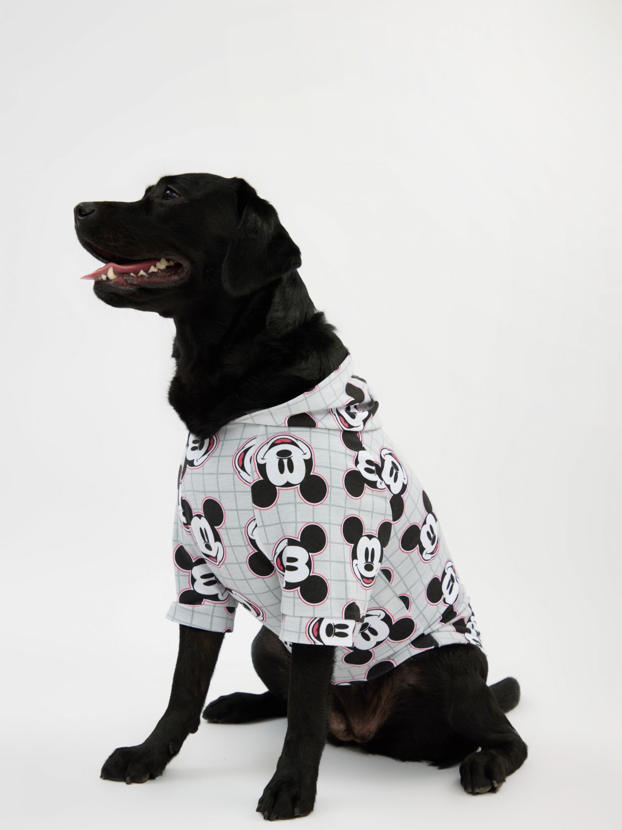 טופ לחיית מחמד מיקי מאוס