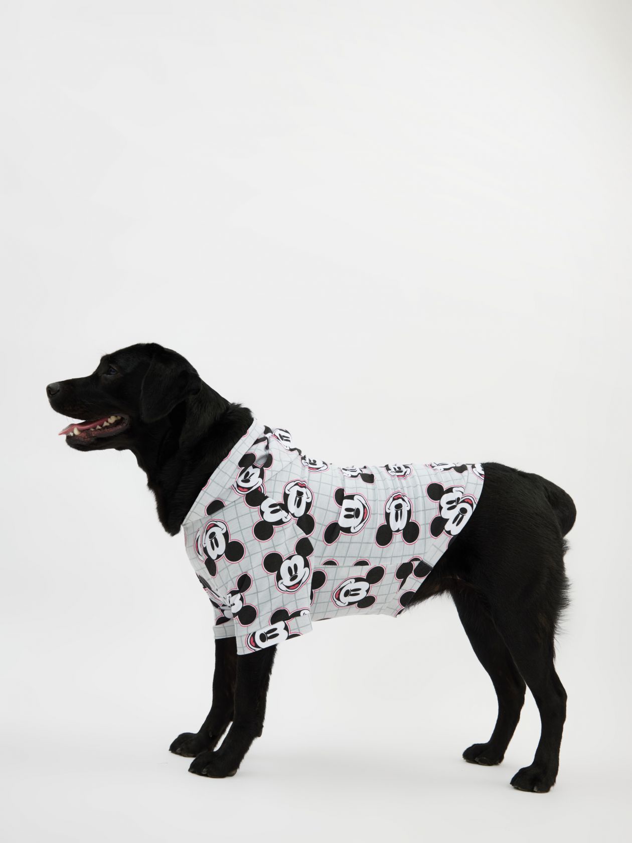 טופ לחיית מחמד מיקי מאוס