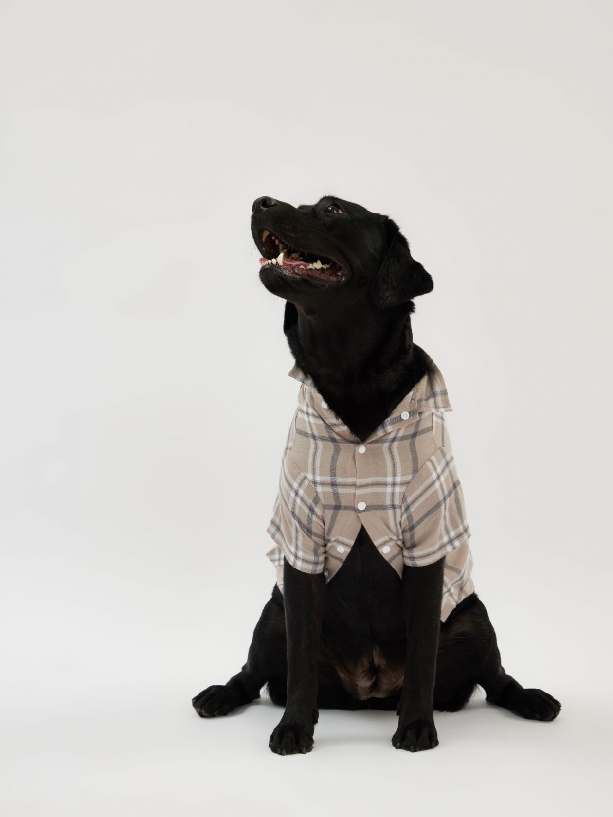 טופ לחיית מחמד פלנל