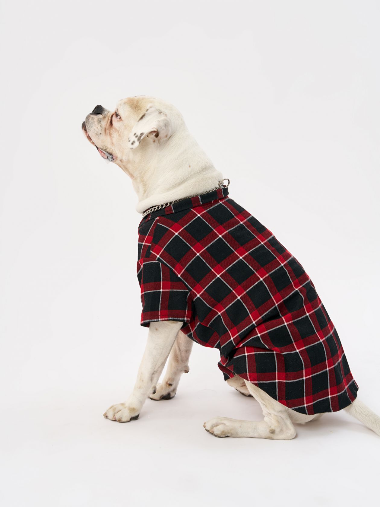 טופ לחיית מחמד פלנל