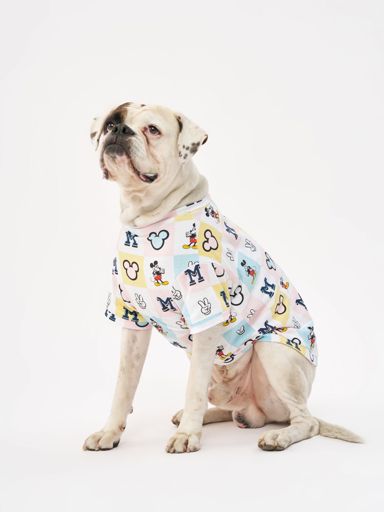 טופ לחיית מחמד מיקי