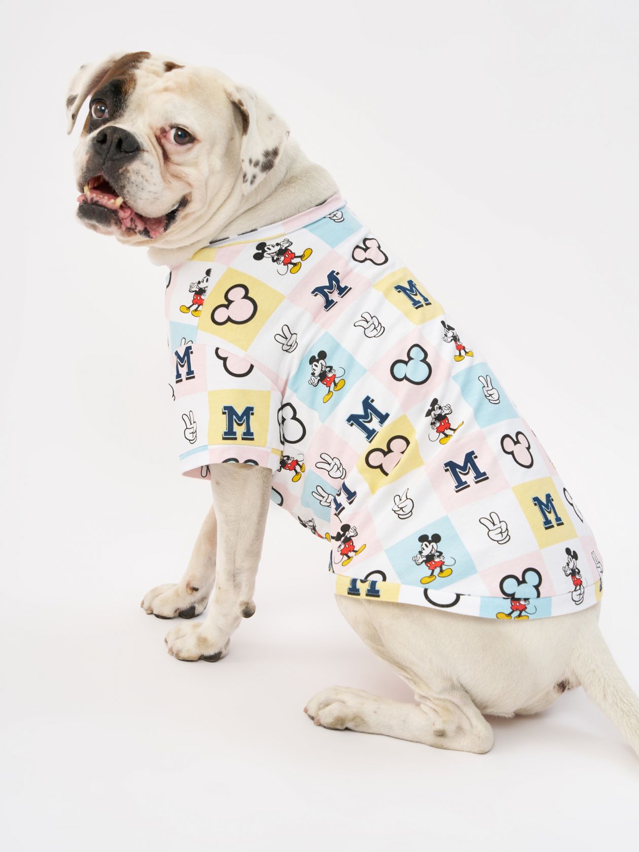 טופ לחיית מחמד מיקי