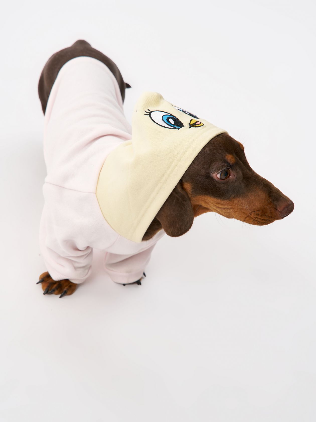 טופ לחיית מחמד טוויטי