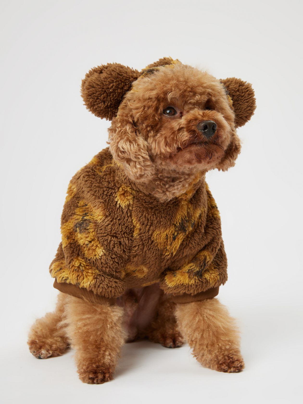 טופ פלאפי לחיית מחמד דובי