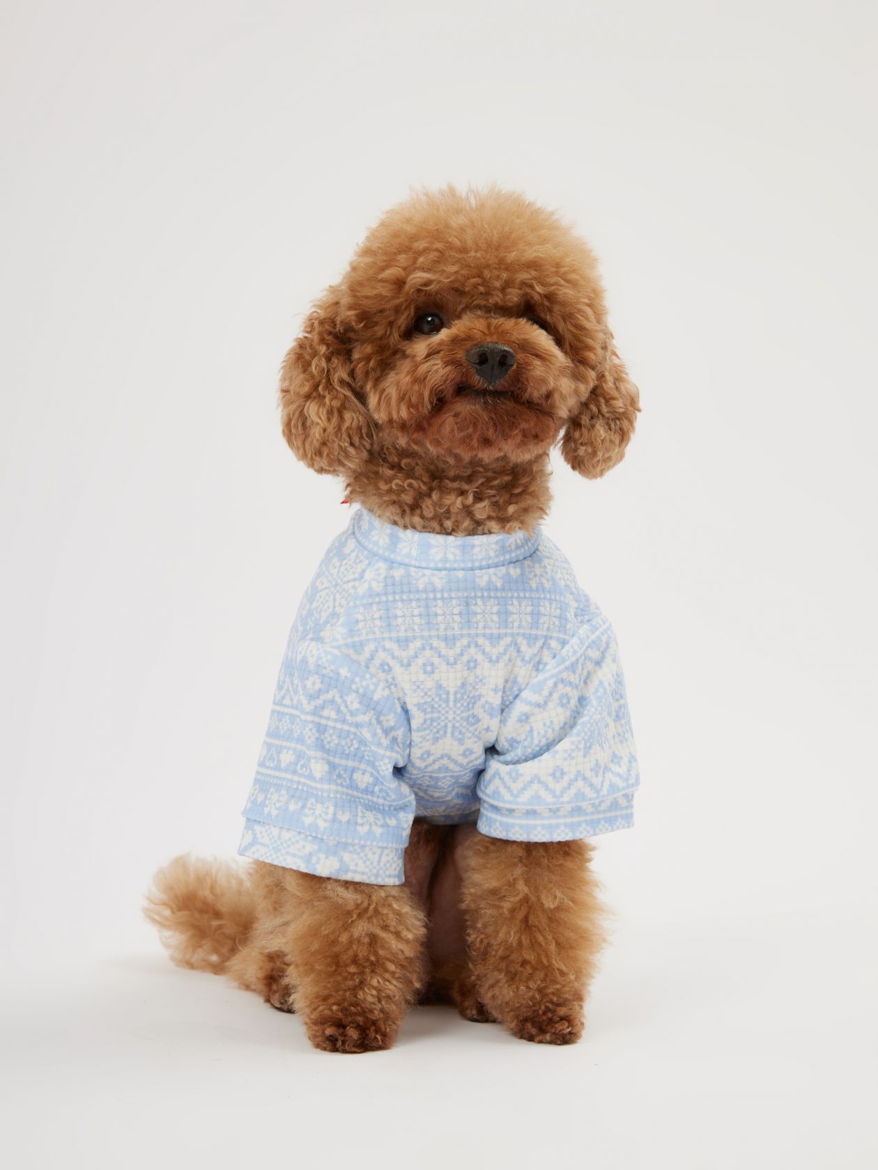 טופ לחיית מחמד סנופלייק