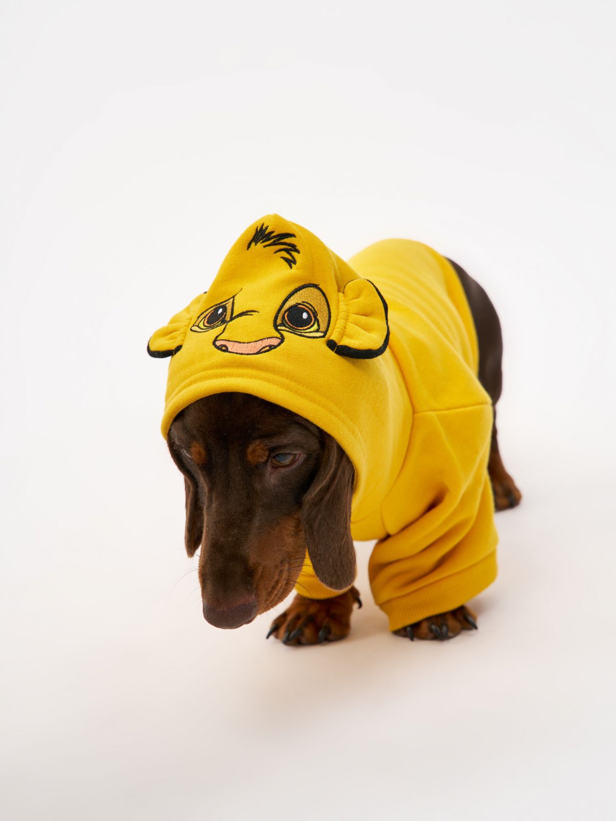 טופ לחיית מחמד סימבה