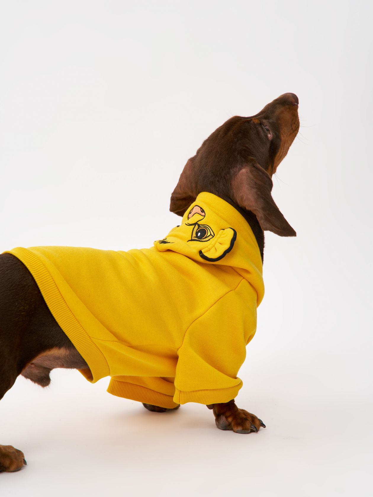 טופ לחיית מחמד סימבה