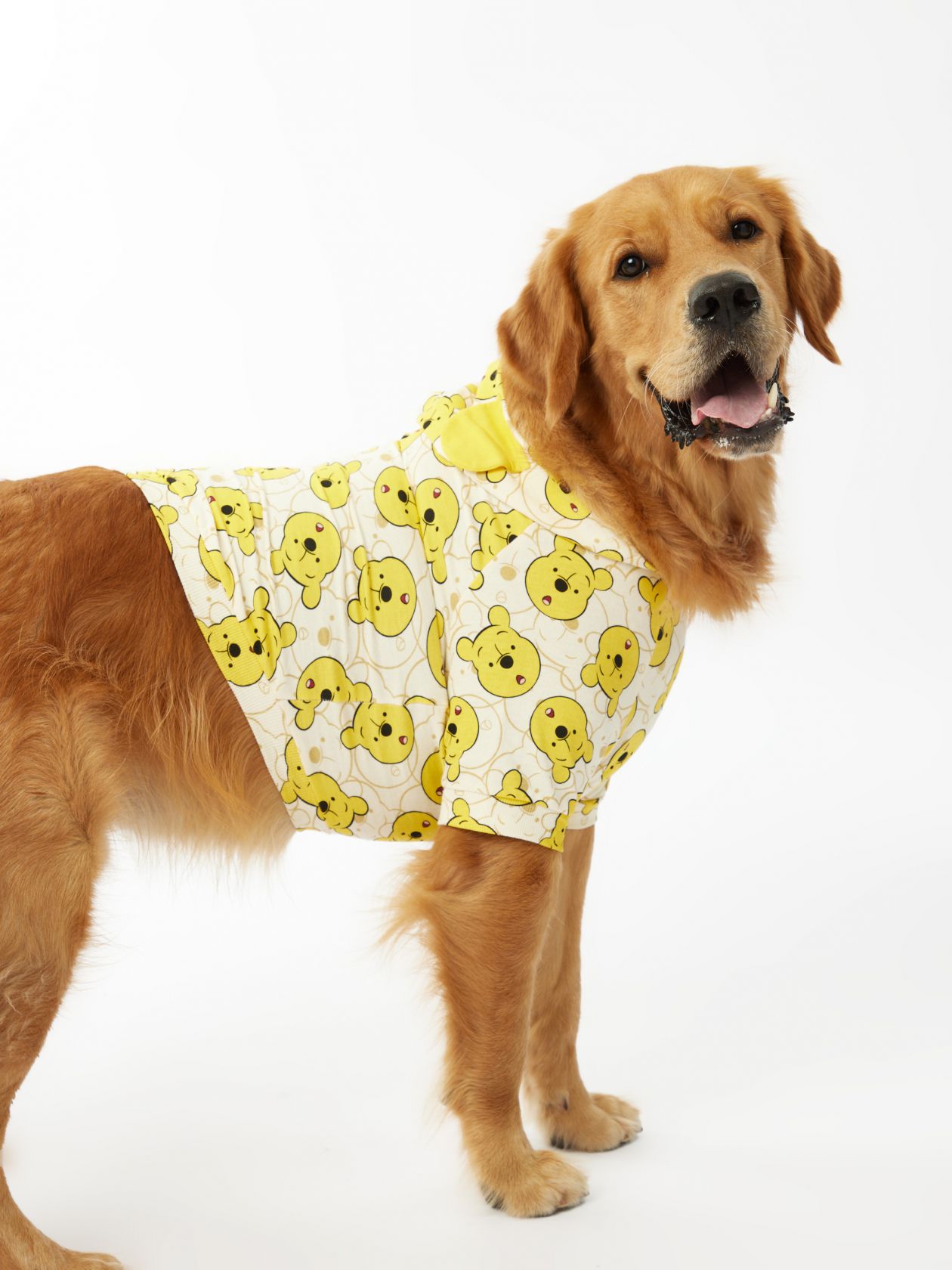 טופ לחיית מחמד פו הדב