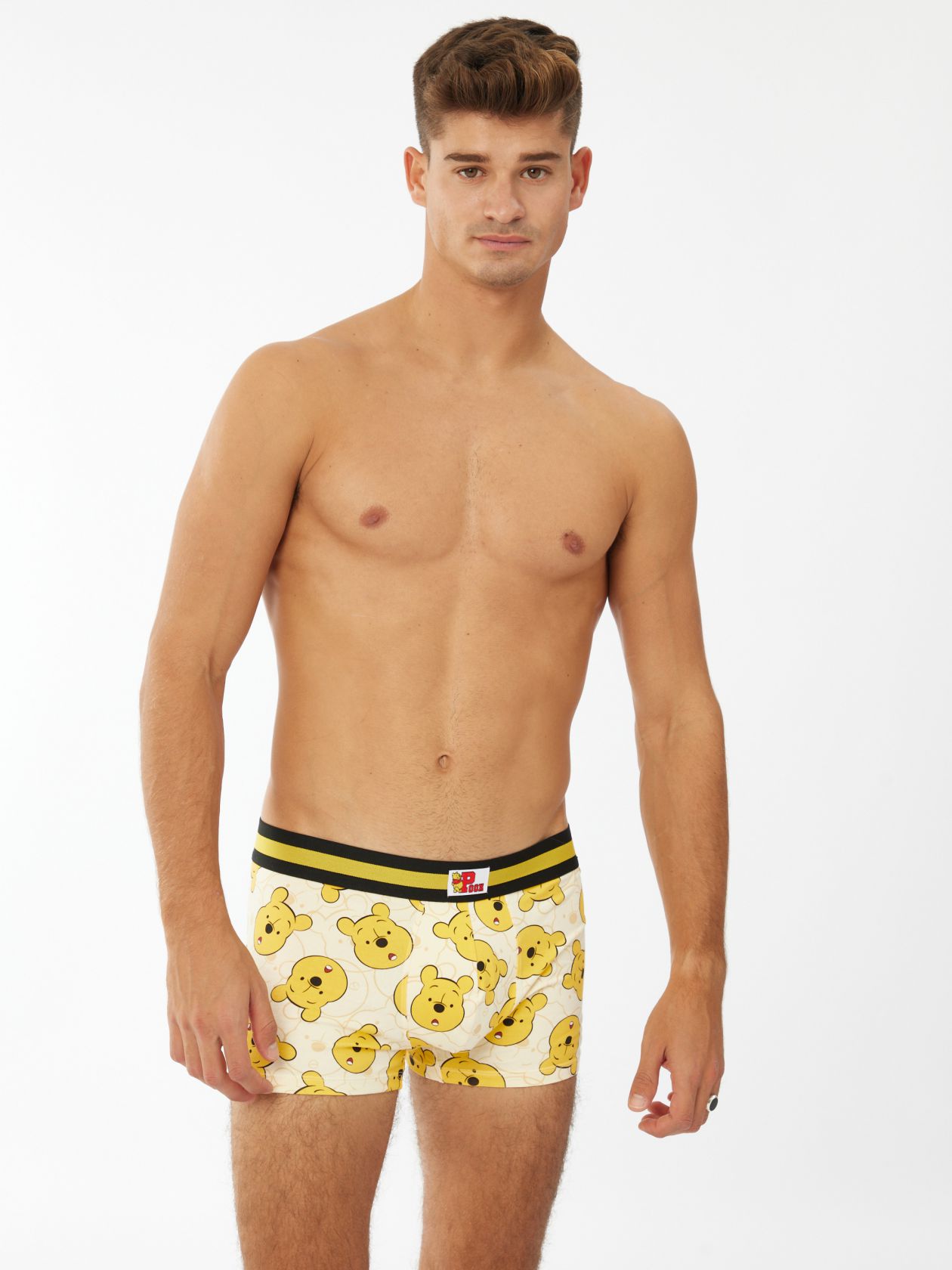 בוקסר פו הדב