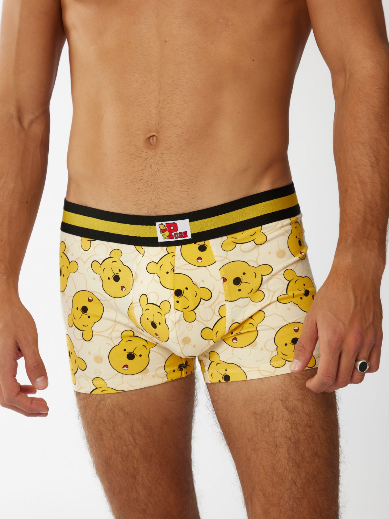 בוקסר פו הדב