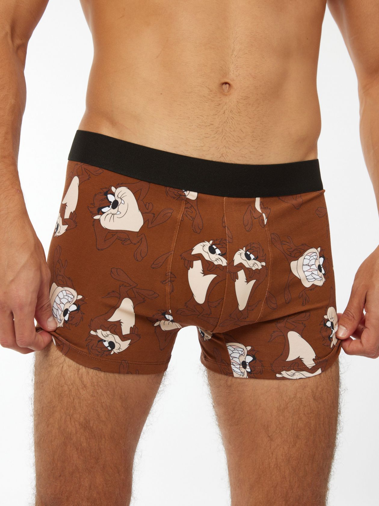 תחתוני בוקסר טאז