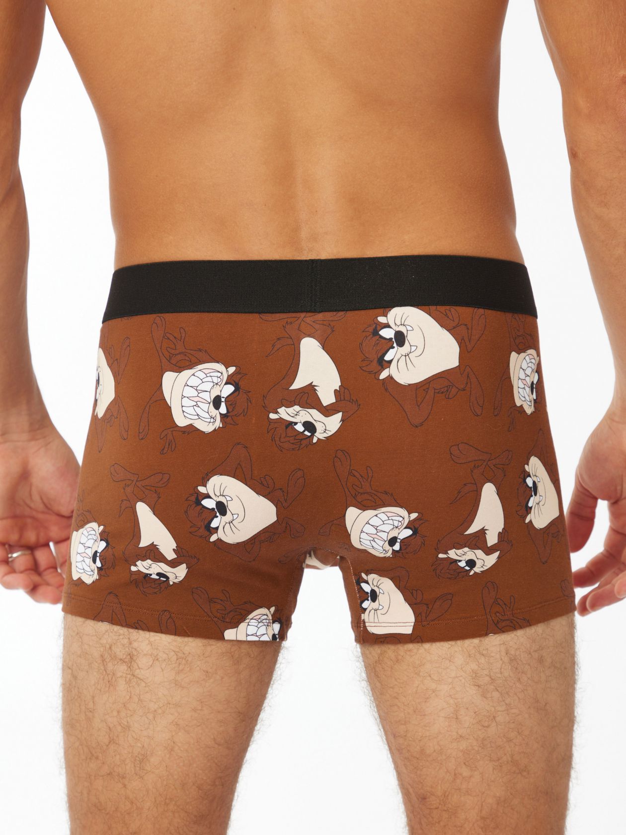 תחתוני בוקסר טאז